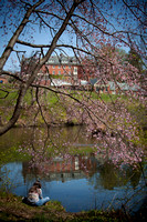 A student studying in front of Paradise Pond with Chapin House in the background
