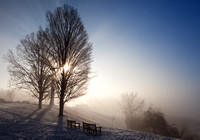 A foggy sunrise at Smith College by Paradise Pond
